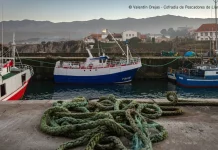 La Cofradía de Pescadores Santa Ana de Llanes, Premio al Pueblo Ejemplar de Asturias 2026