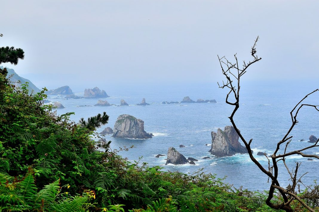 La costa occidental asturiana recibe el Premio Condé Nast Traveler al mejor destino nacional, que reconoce la excelencia viajera. / Pixabay